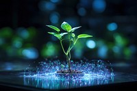 Plant sprout light leaf. AI generated Image by rawpixel.