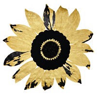 Sunflower shape ripped paper plant white background inflorescence.