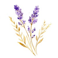 Purple watercolor and golden glitter outline stroke lavender flower plant inflorescence fragility.
