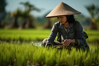 Vietnam woman field agriculture outdoors.