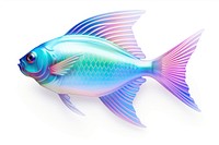 Icon iridescent fish animal white background.