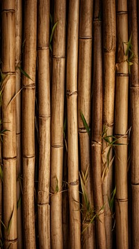 Texture Wallpaper bamboo plant backgrounds.
