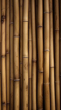 Texture Wallpaper bamboo plant backgrounds.