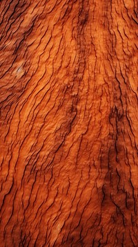 Texture Wallpaper hardwood texture rock.
