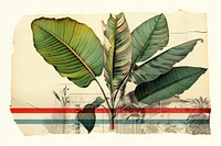  Tropical leaf plant art vegetation. AI generated Image by rawpixel.