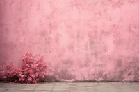 Wall pink background no details architecture backgrounds plant.