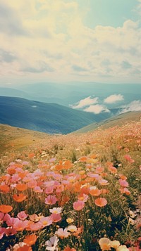 Photography of minimal a cute flowers with hillside landscape wilderness grassland outdoors.