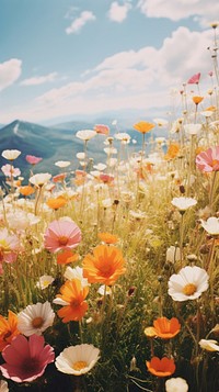 Photography of minimal a cute flowers with hillside landscape grassland outdoors nature.