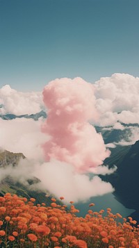 Landscape mountain flower cloud.