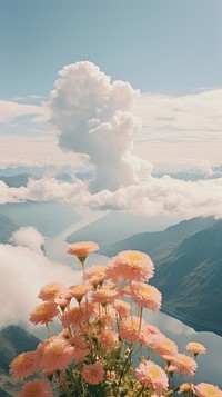 Landscape mountain flower cloud.