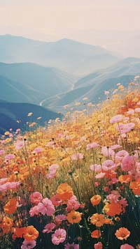 Photography of minimal cute flowers with hillside landscape grassland mountain outdoors.