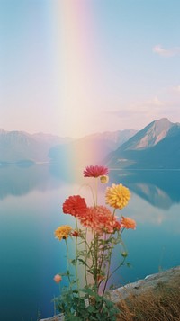 Landscape flower lake mountain.