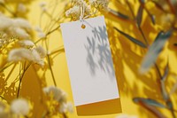 Clothes label tag packaging  outdoors flower nature.