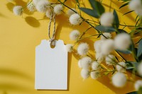 Clothes label tag packaging  flower plant white.