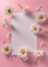 A0 poster packaging  daisy flower petal.