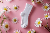 Sock packaging  daisy flower white.