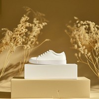 Shoes packaging  footwear white clothing.