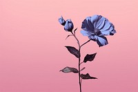  Blue flower petal plant pink. AI generated Image by rawpixel.