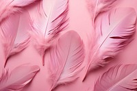 Feathers pink background backgrounds human lightweight.