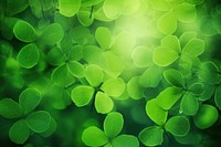 Green clover theme abstract background backgrounds plant leaf.