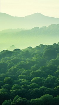 Forest green vegetation landscape.