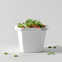 Takeaway food container box  with vegetable and blank label  packaging plant freshness flowerpot.