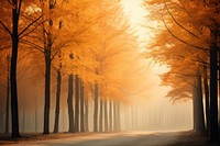 Fall trees backgrounds landscape outdoors. AI generated Image by rawpixel.