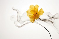  Ink daffodil flower plant inflorescence. AI generated Image by rawpixel.
