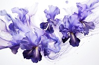  Ink iris flowers blossom purple petal. AI generated Image by rawpixel.