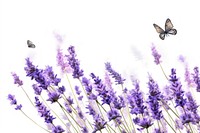  Ink lavender flowers butterfly blossom insect. AI generated Image by rawpixel.