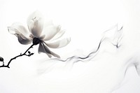  Ink magnolia flower petal white rose. AI generated Image by rawpixel.