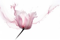  Ink tulip blossom flower petal. AI generated Image by rawpixel.