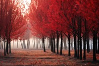Red fall trees landscape outdoors autumn. AI generated Image by rawpixel.
