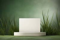 Product podium backdrop grass plant green.