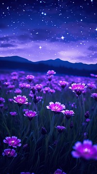 Purple flower field at night background landscape outdoors blossom.