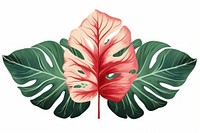  Tropical leaf hibiscus plant white background. AI generated Image by rawpixel.