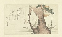 Fuji en een pijnboom (c. 1790 - c. 1800) by anonymous and Shôjôan Sakatsubo
