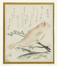 Drie vissen en adelaarsvaren (c. 1815 - c. 1820) by Totoya Hokkei, Urushi Shitsuan and Mimasu Kakubô