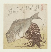 De zeebaars van de Yanagiya in Odawarachô (c. 1819) by Totoya Hokkei and Keijuen Iekazu