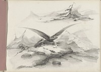 Arend vliegend boven een kust met bergen (1830 - 1860) by Albertus van Beest