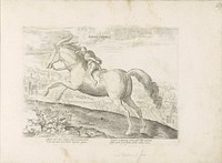Renpaard met ruiter (1624 - before 1648) by anonymous, Hendrick Goltzius, Jan van der Straet and Marcus Sadeler