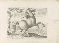 Paard uit Toscane (1624 - before 1648) by anonymous, Hendrick Goltzius, Jan van der Straet and Marcus Sadeler