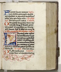 Psalter en brevier (gedeeltes) in het Latijn (1500 - 1600) by anonymous