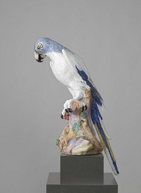 Blue Macaw (1731) by Meissener Porzellan Manufaktur, Johann Joachim Kändler and Johann Gottlieb Kirchner