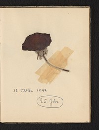 Roos met datum 10 oktober 1947 en 25 Jahre (1947) by Isabel Wachenheimer Elon