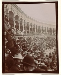 At the Bull Fight, Spain (1905 - 1922) by anonymous