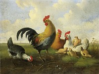 A rooster with Hens and Chicks (1855) by Albertus Verhoesen