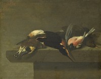 Dead Birds (1640 - 1662) by Jan Vonck