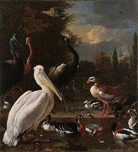 A Pelican and other Birds near a Pool, Known as ‘The Floating Feather’ (c. 1680) by Melchior d Hondecoeter