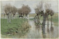 Hoog water in het weiland (1863 - 1903) by Geo Poggenbeek